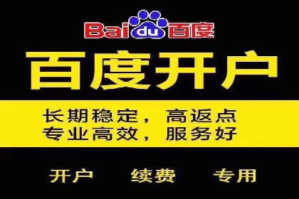 SEM竞价推广案例：打造行业领先的广告投放策略