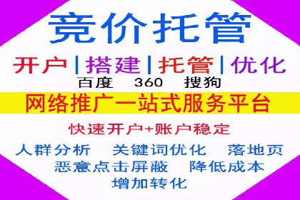 百度推广平台案例剖析：揭秘广告投放策略